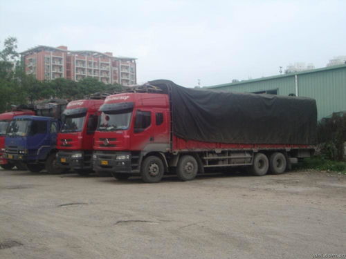 東莞運(yùn)輸行業(yè)概覽 從普通貨運(yùn)到危險(xiǎn)品運(yùn)輸?shù)膶I(yè)化之路