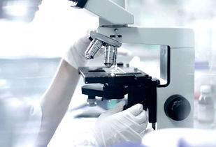 告別過去，2019重新出發(fā) 機械設(shè)備行業(yè)的轉(zhuǎn)型與機遇